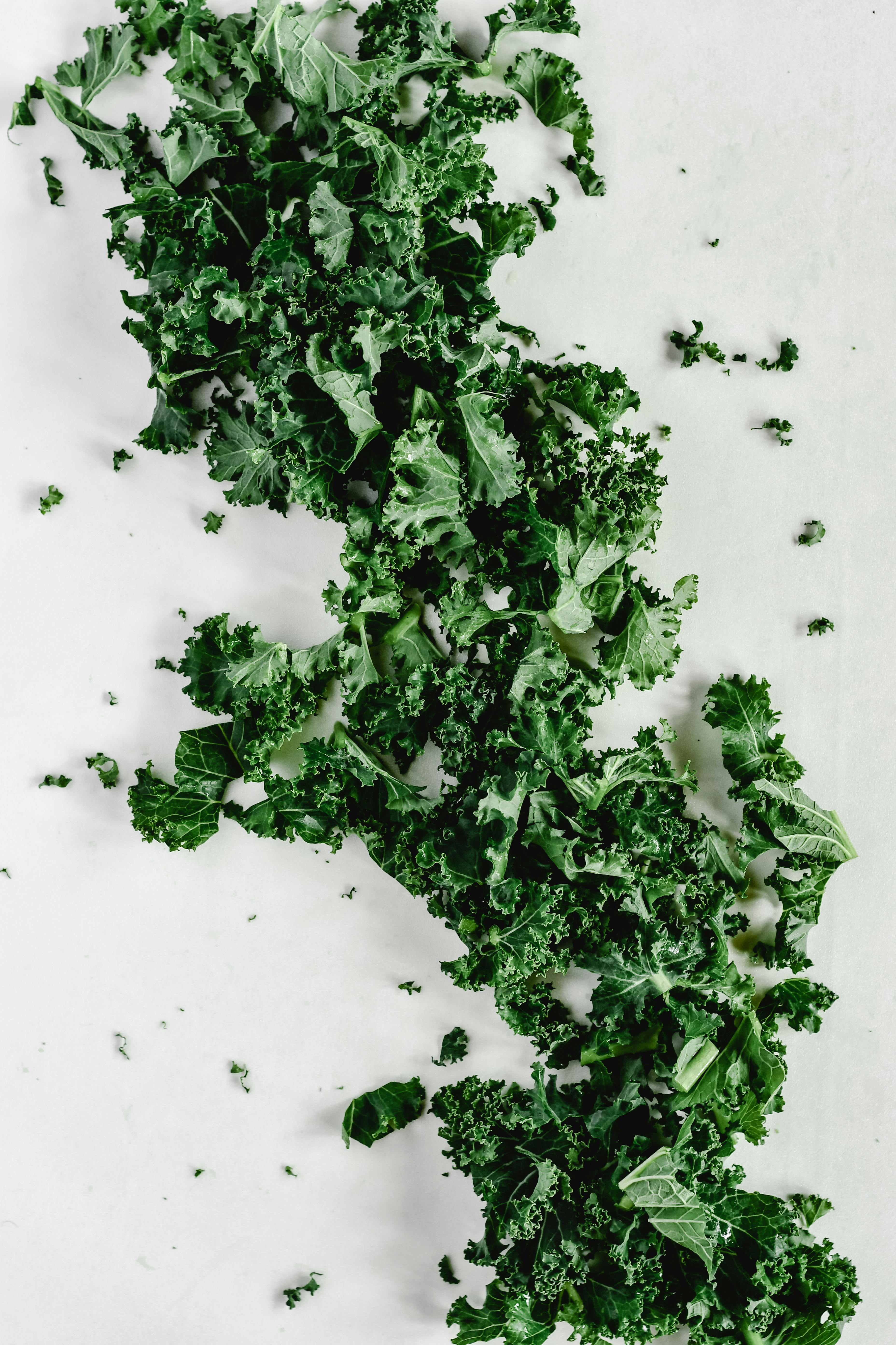 Effective Ways to Optimize Keto Ratio Yogurt in 2025