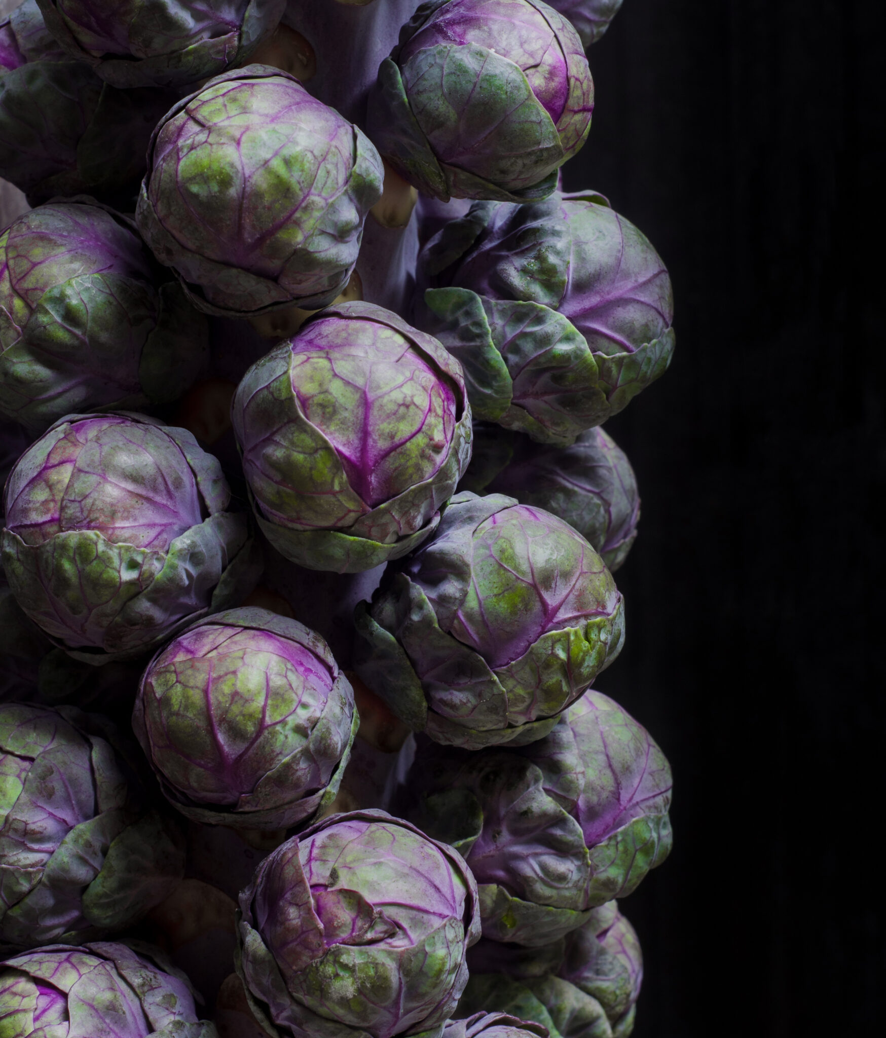 Brussels Sprouts in a Keto Diet