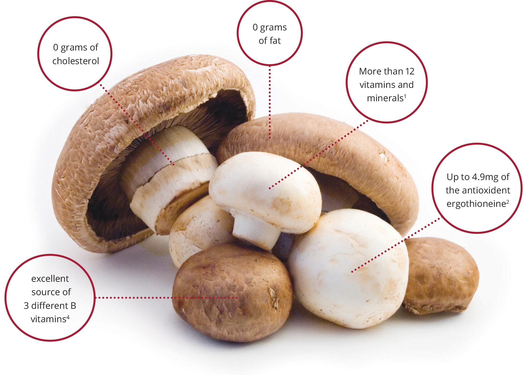 Nutritional Value of Mushrooms